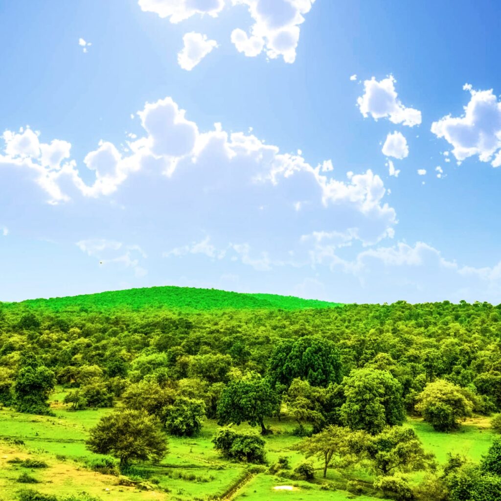 places to visit in chandauli
